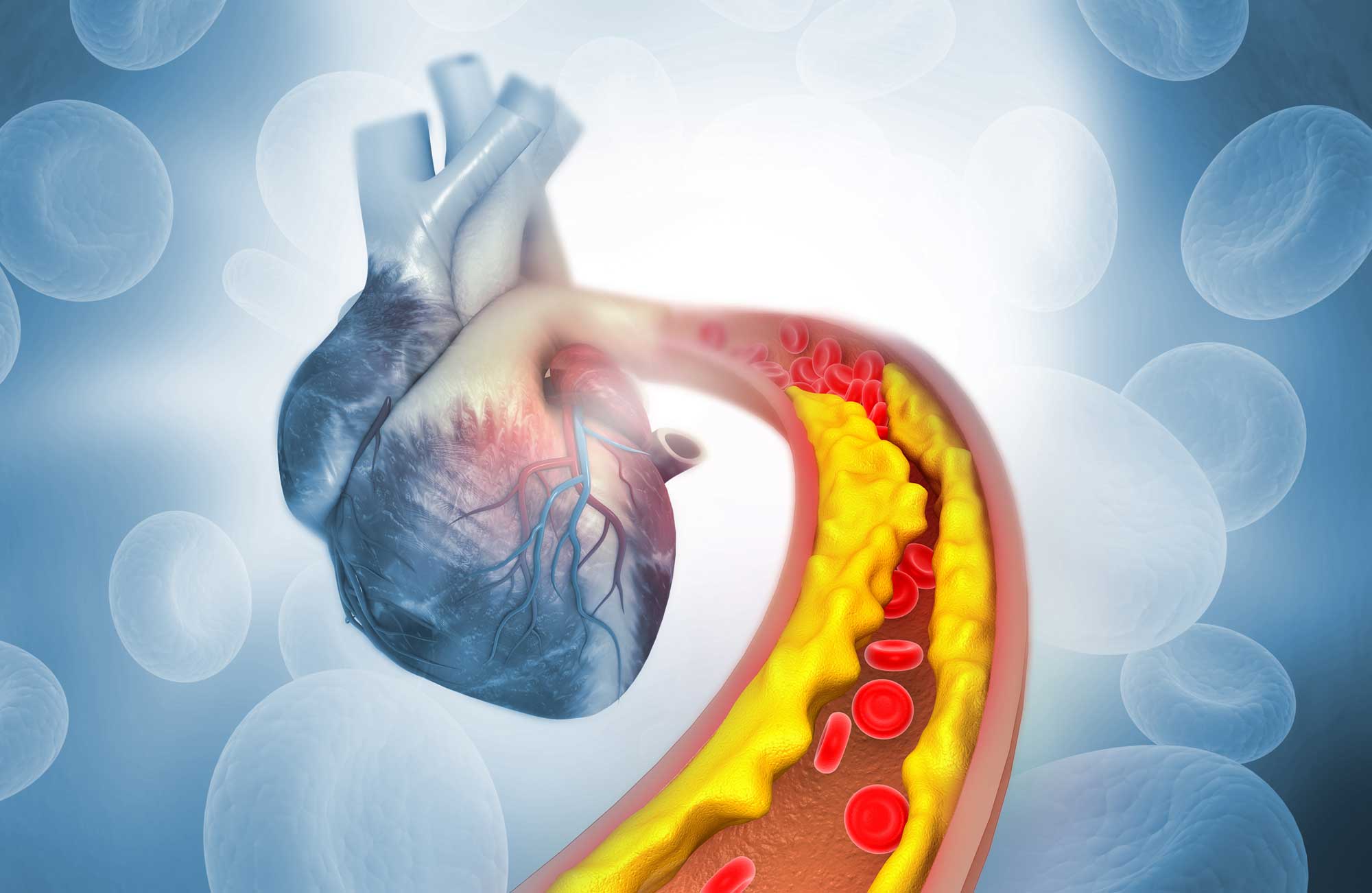 shutterstock_1137479783_headercrop